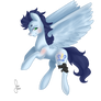 Commish: Soarin