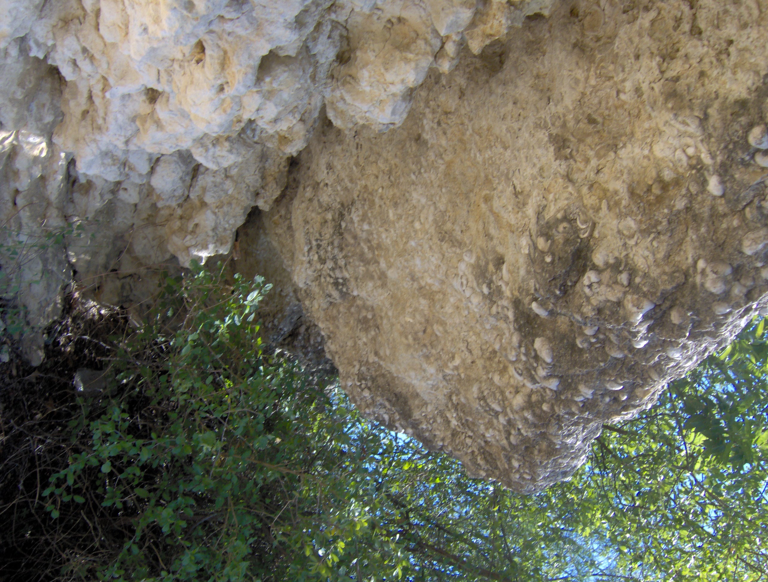 mouth of cave