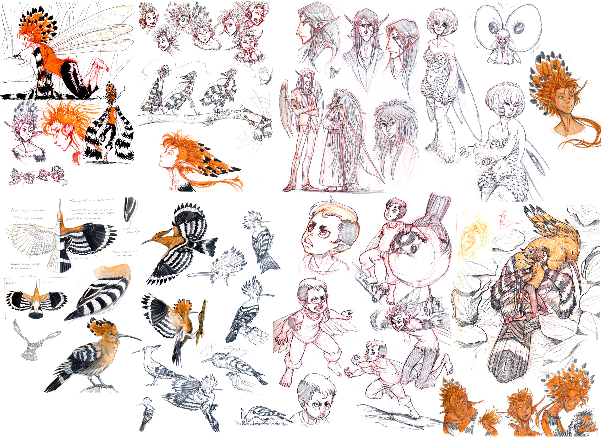 .:: Plumes sketchdump 02 ::.