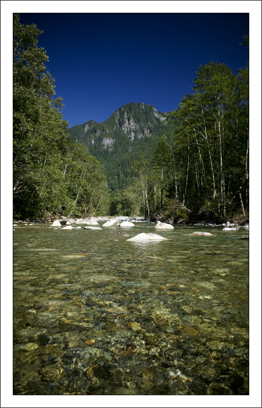 Upstream by MushroomMagic