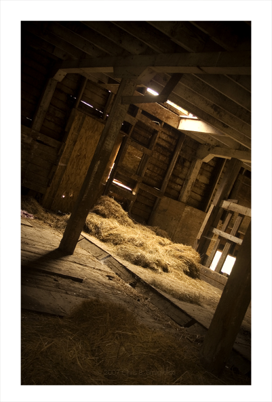 Empty Spaces by MushroomMagic