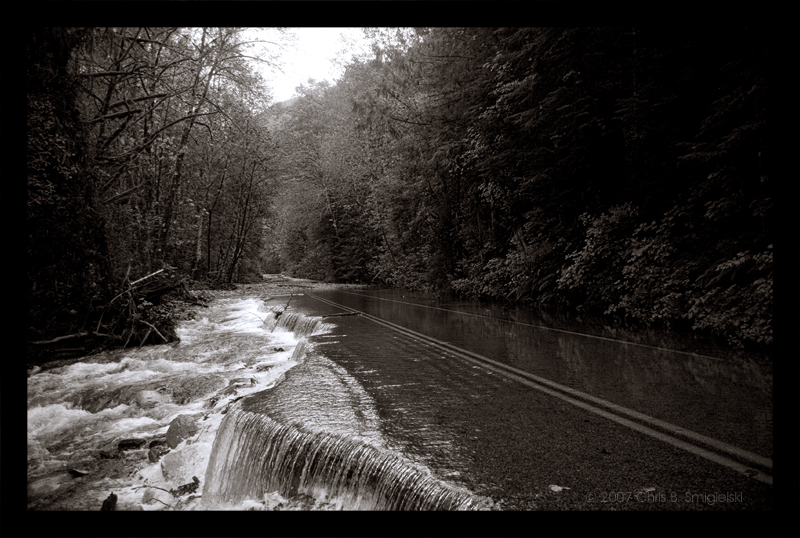 Washed Out by MushroomMagic