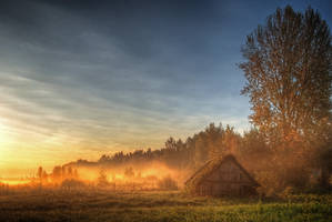 Hut in the fog III