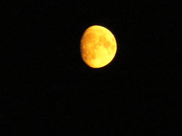 yellow moon