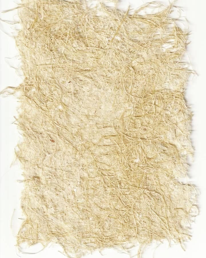 Corn husk Paper by FeloneeMarieArtistry on DeviantArt