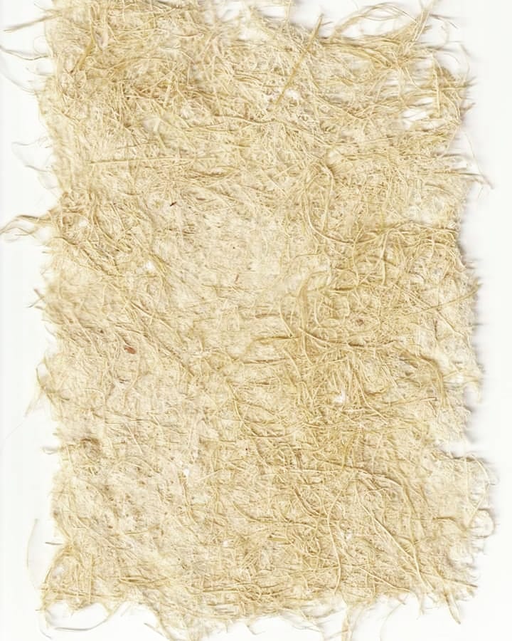 Corn husk Paper by FeloneeMarieArtistry on DeviantArt