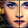 Twilight GIF-Breaking Dawn~Bella Edward Jacob