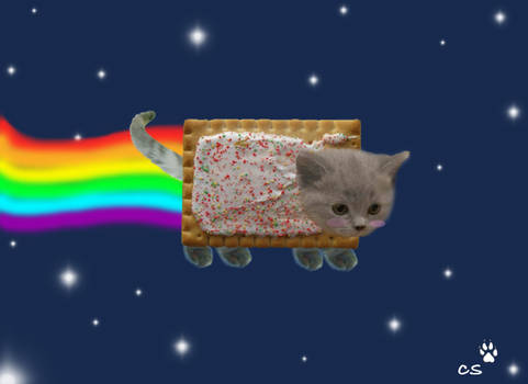 Nyan Cat-Poptart cat