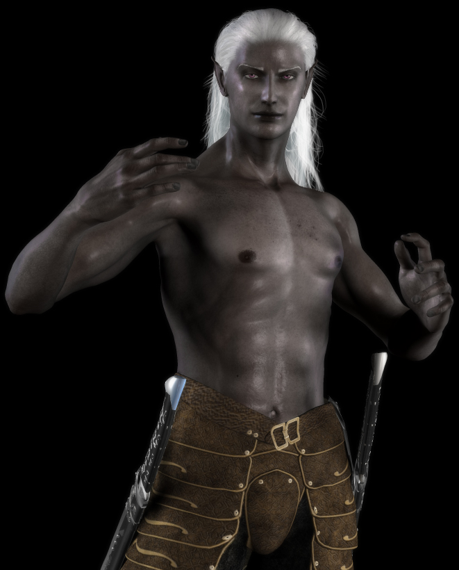 Drizzt the Hunter