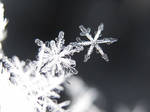 Snowflakes by Krisztinaaa
