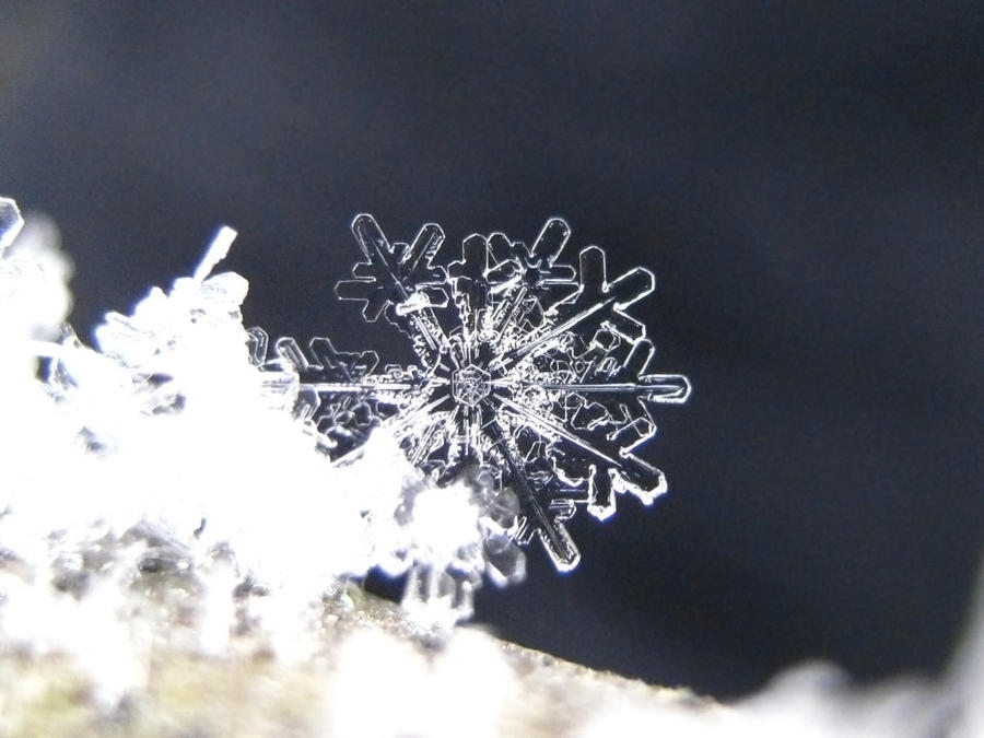 Snowflake II