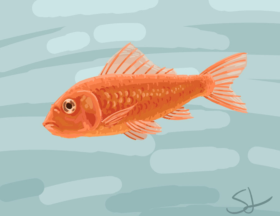 Alice Goldfish Alice The Goldfish by The-Snowlion on DeviantArt
