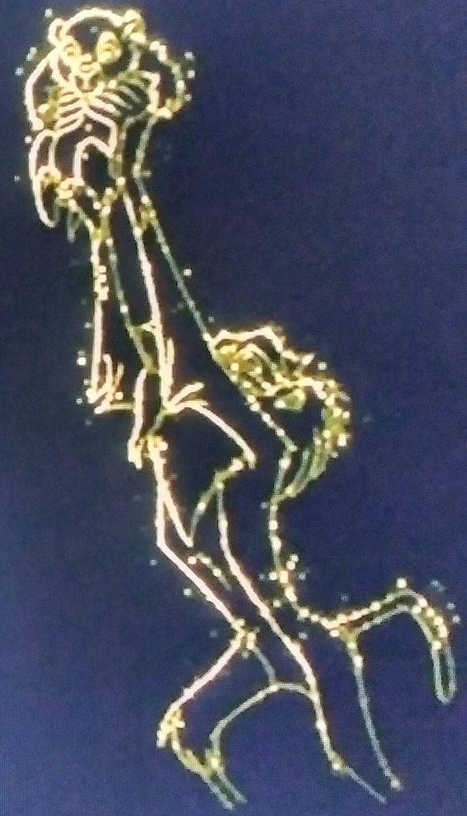 Simba and Rafiki (Starlight Constellation) - Wish by 99f5 on DeviantArt