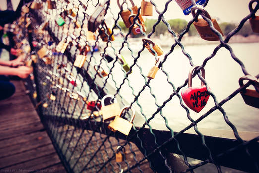 Day 300  Pont des Arts