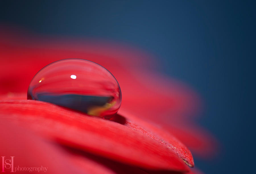 Red Drop