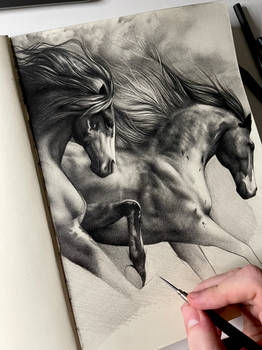 Horses