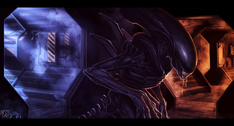 ::Xenomorph:: by sangheili117