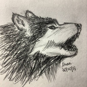 Wolf