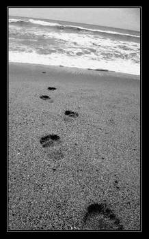 Footprints