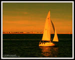 Sailing by acww-freak08