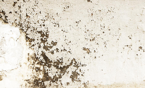 texture012