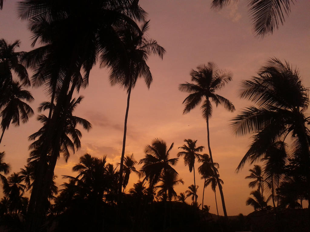 Rownd Tree Coco Coco Trees by bonobourne on DeviantArt