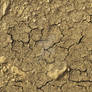 The texture of the dried ground.