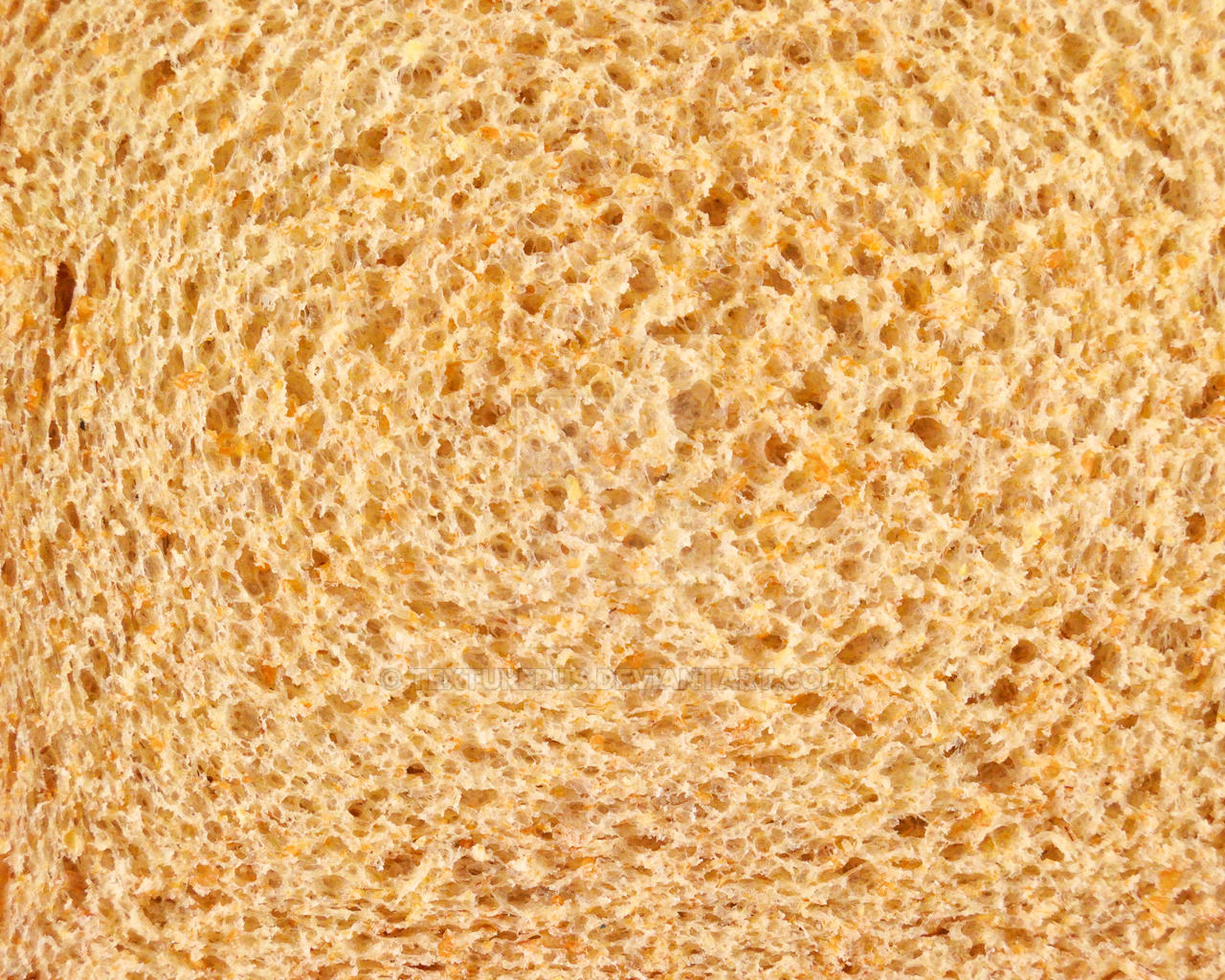 Breab Texture Texture of expired bread. by TEXTURERUS on DeviantArt