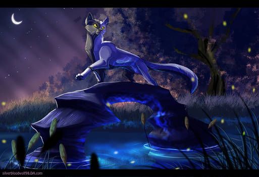 in the night,in the light :.commission.: