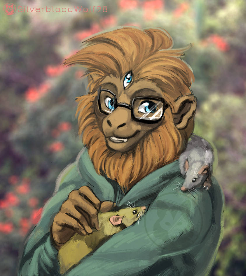 Monkey by Silverbloodwolf98 on DeviantArt