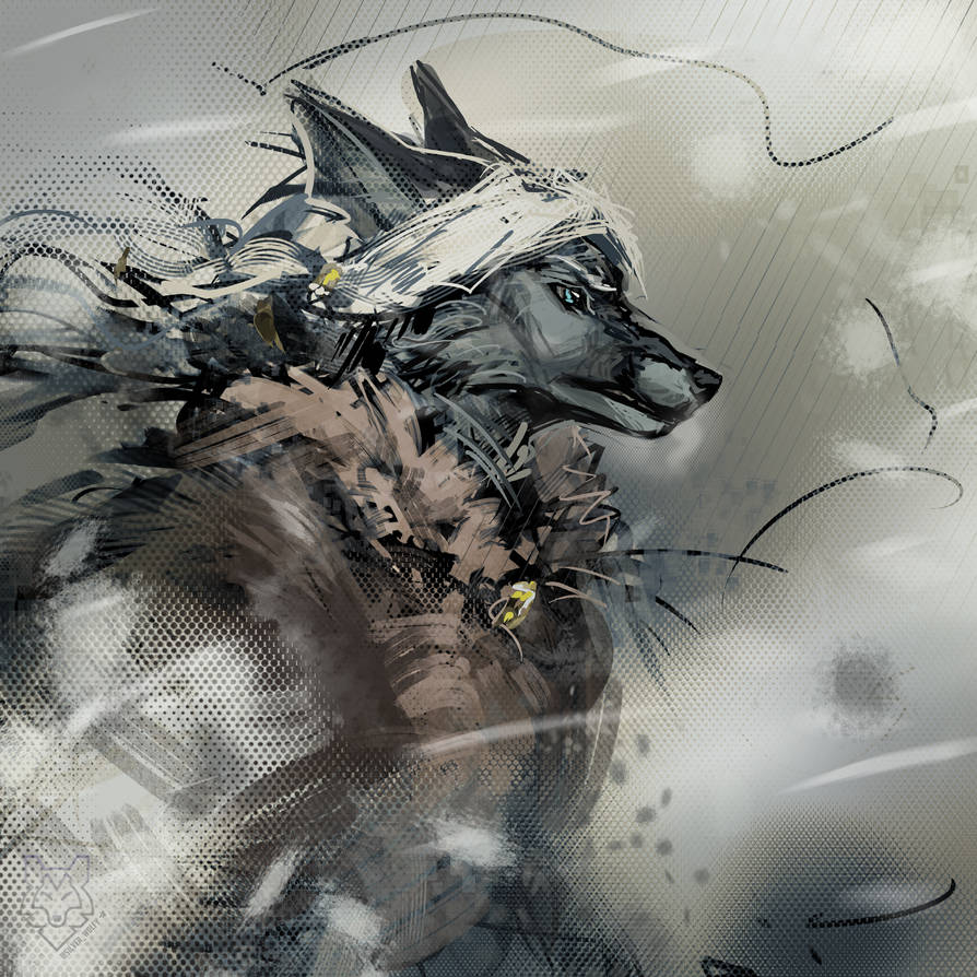 Storm by Silverbloodwolf98 on DeviantArt