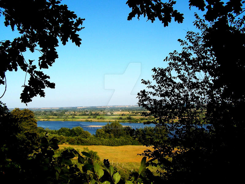 summer in the countryside