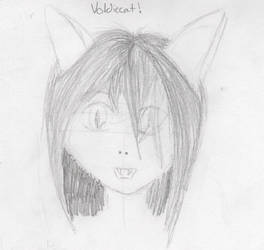 Voldecat