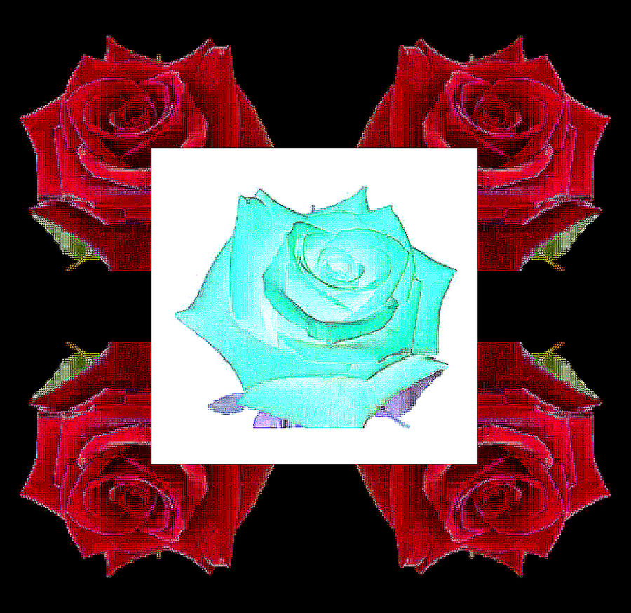 Inverted Rose Pattern Inverted Rose by XSpeak2MeX on DeviantArt