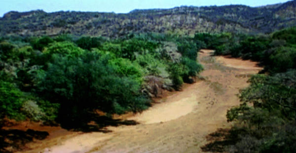 DRY RIVER I