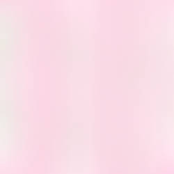 E25090891