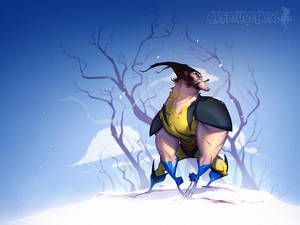 Wolverine Winter Wonderland