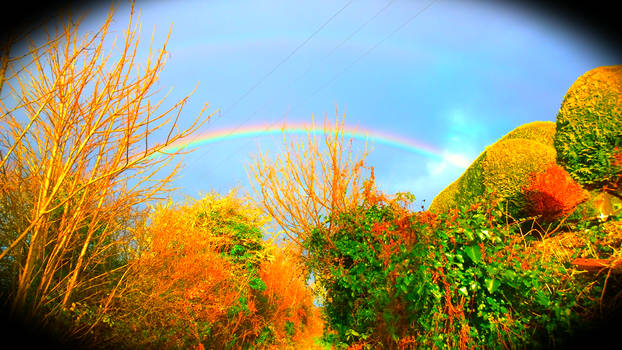 Double Rainbow