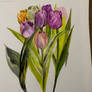 Tulips