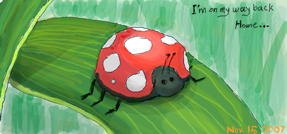 Ladybug