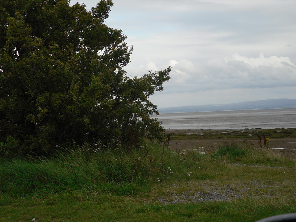 Morecambe Bay 2