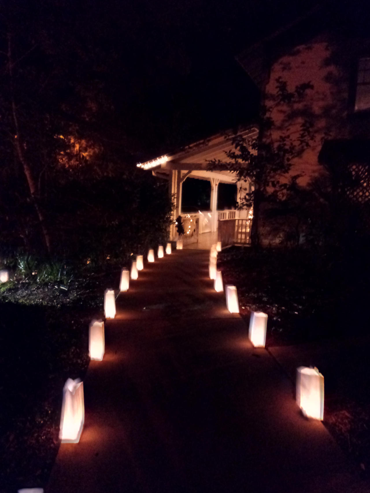 dim pathway by yoshi-egg15 on DeviantArt