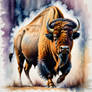 Bison bull