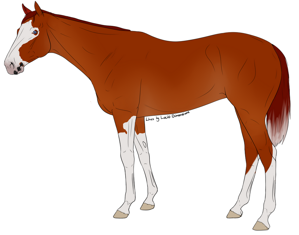 WWC Coy Crystulls