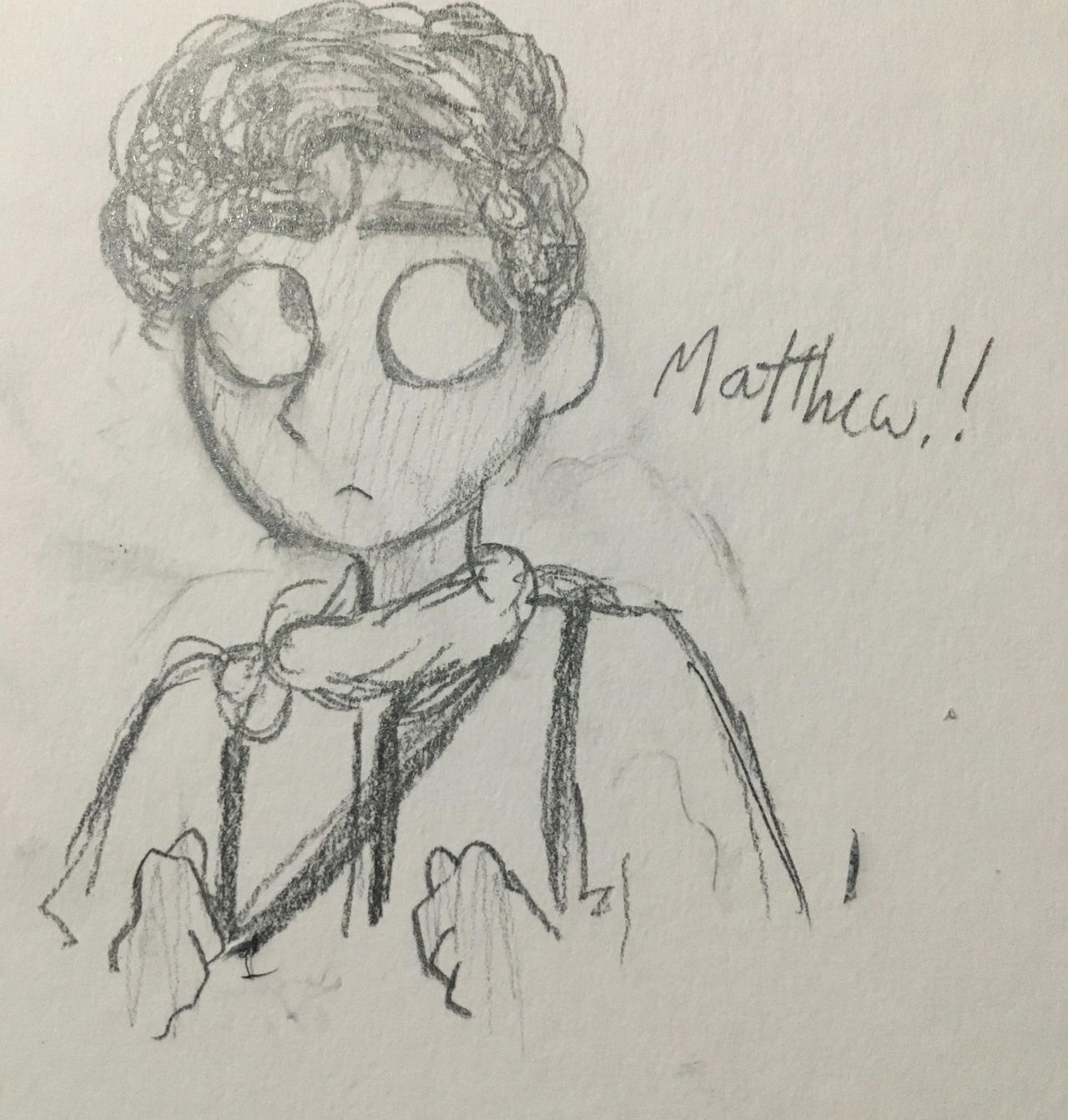 Matthew The Chosen by lemonicarus on DeviantArt