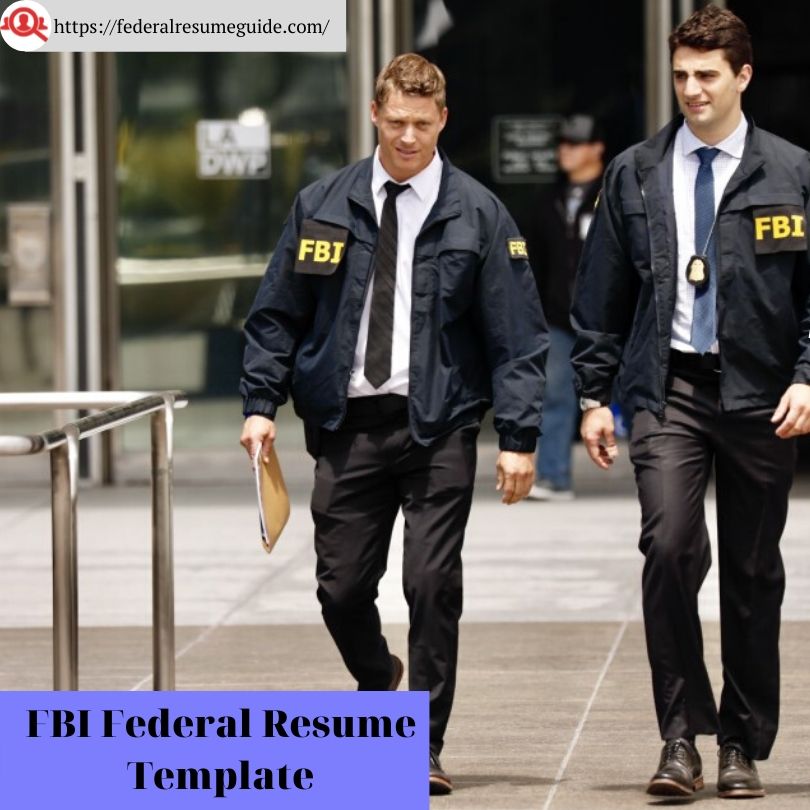 FBI Federal Resume Template by federalresumeguide on DeviantArt