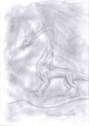 Shadow Dragon 1