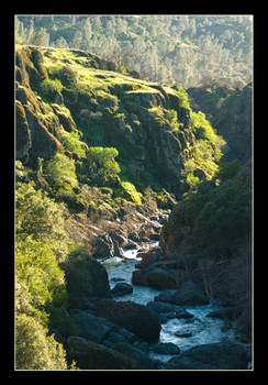 Chico Canyon: Spring Afternoon