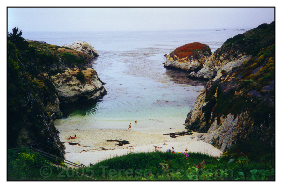 Big Sur Cove 2