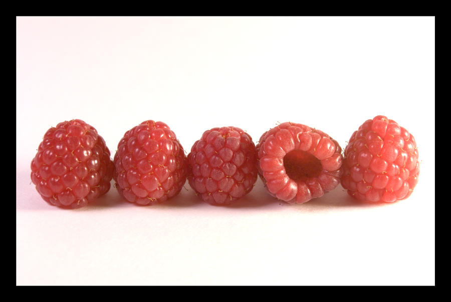 Raspberry Lineup